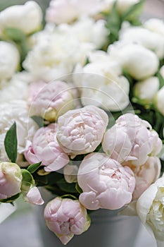 Beautiful bouquet of white and pink peonies . Floral composition, daylight. Wallpaper. Vertical photo