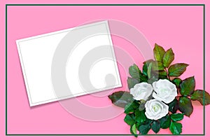 Beautiful bouquet of white roses and green foliage on pink paper background. Creative greeting card
