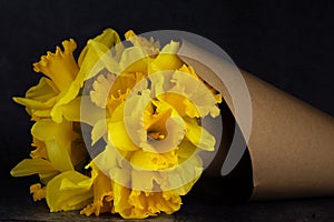 A beautiful bouquet of Wild daffodils Narcissus pseudonarcissus in a paper cone.