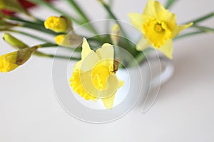 Beautiful bouquet of yellow daffodils flowers isolated on white background. Flat lay, top view. Spring flowers. Gift cards design