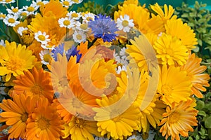 Beautiful bouquet of yellow daisy flowers