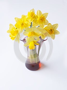 Beautiful bouquet of yellow narcisus flowers in a glass vase.