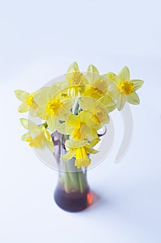 Beautiful bouquet of yellow narcisus flowers in a glass vase.