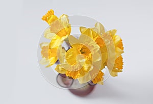 Beautiful bouquet of yellow narcisus flowers in a glass vase.