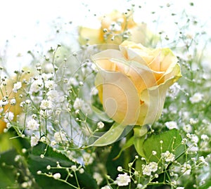 Beautiful bouquet of yellow roses and white little flowers with blur background