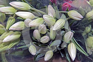 Beautiful bouquets of tulips in a package, ready for sale. Spring flowers. Close up.