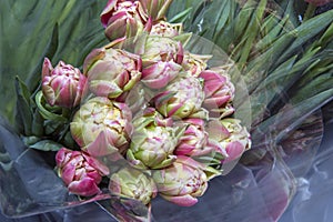 Beautiful bouquets of tulips in a package, ready for sale. Spring flowers. Close up.