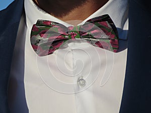 Beautiful bow tie of a knight of intense colors and very discreet