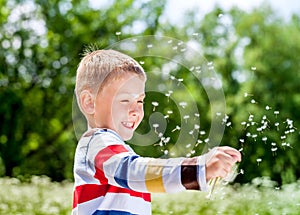 Beautiful boy in the park blowing on dandelion