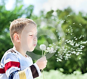 Beautiful Boy in the park blowing on dandelion