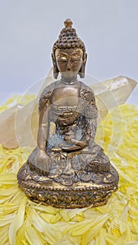 Beautiful brass Buddha statue sitting on a bed of flower petals