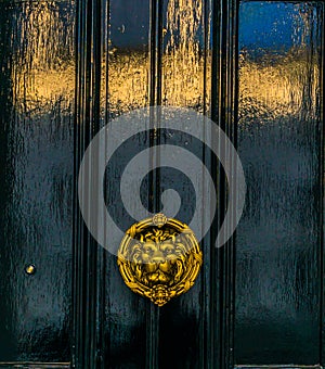 Beautiful brass knocker in the shape of a lion`s head on a backg