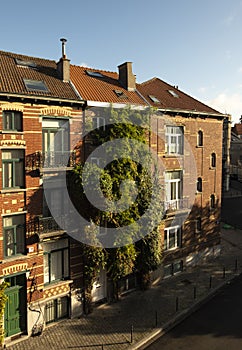 Beautiful brick house covered in luscious vegetation in Brussels