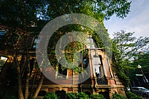 Beautiful brick rowhouses in Back Bay, Boston, Massachusetts.