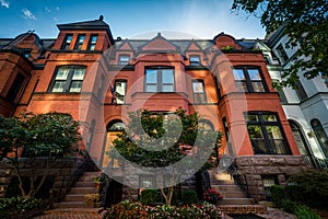 Beautiful brick rowhouses in Washington, DC.