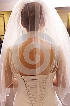 Beautiful Bride from the back to show dress details