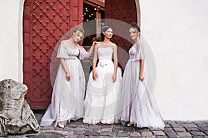 Beautiful bride and bridesmaids in gorgeous elegant stylish light grey silver floor length dresses in old beautiful