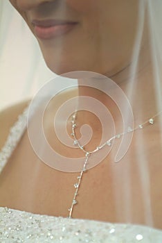 Beautiful Bride Closeup with Veil and Necklace