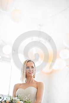 Beautiful bride in a dress