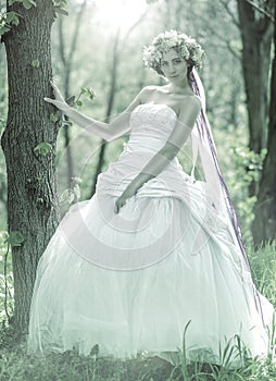 Beautiful bride , flower tiara on her head , relying on the tree , monochrome