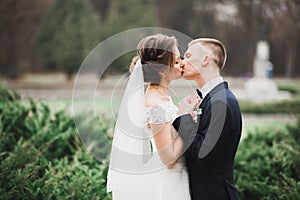 Beautiful bride and groom embracing and kissing on their wedding day