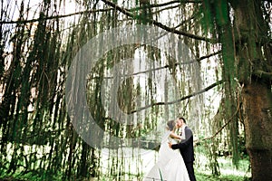 Beautiful bride and groom embracing and kissing on their wedding day outdoors