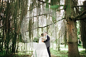 Beautiful bride and groom embracing and kissing on their wedding day outdoors