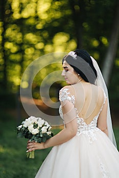 Beautiful bride on her wedding day. Long wedding dress