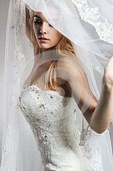 Beautiful bride woman in wedding dress and veil