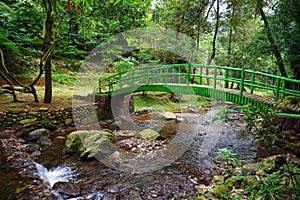 Beautiful bridge over the river in the middle of the forest