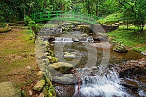 Beautiful bridge over the river in the middle of the forest