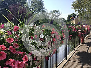Beautiful bridges, amazing flower displays, summer flowers in england