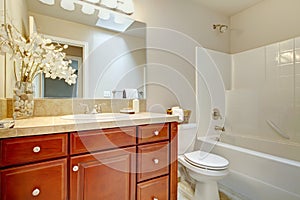 Beautiful bright bathroom with cherry wood cabinets