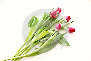 Beautiful bright bouquet of tulips with water drops on white background