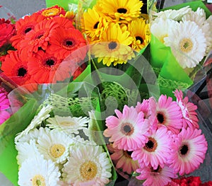 Beautiful Bright Close Up Colorful Gerbera Daisy Flowers Bouquet