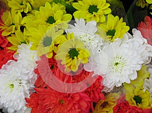 Beautiful Bright Close Up Yellow Daisy And Orange & White Dahlia  Flowers Bouquet