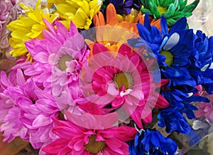 Beautiful Bright Closeup Colourful Daisy Flowers Bouquet On Display