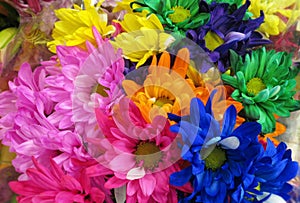 Beautiful Bright Closeup Colourful Daisy Flowers Bouquet On Display