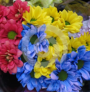 Beautiful Bright Closeup Colourful Daisy Flowers Bouquet