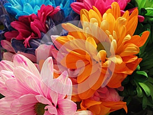 Beautiful Bright Closeup colourful Pink, Yellow, Red And Blue Daisy Flower Bouquet