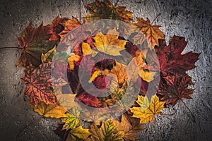 Beautiful bright Colorful Autumn Leaves background