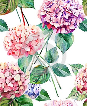 Beautiful bright elegant autumn wonderful colorful tender gentle pink herbal floral hydrangea flowers