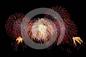 Beautiful bright fireworks