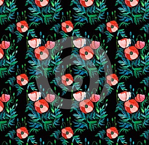 Beautiful bright floral pattern of red poppies with green leaves and heads on black background watercolor