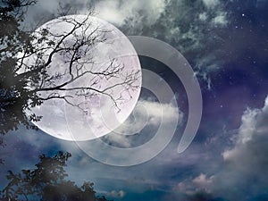 Beautiful bright full moon above wilderness area in forest. Serenity nature background