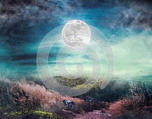 Beautiful bright full moon above wilderness area in forest. Serenity nature background photo