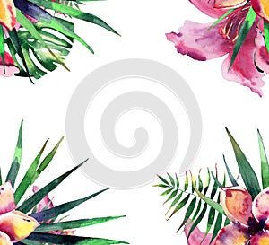 Beautiful bright lovely colorful tropical hawaii floral herbal summer frame of tropical flowers hibiscus orchids and palms leaves