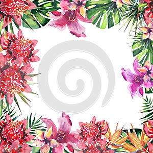 Beautiful bright lovely wonderful green tropical hawaii floral herbal summer colorful frame of tropical flowers and palms leaves w