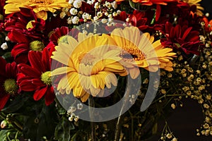 Beautiful bright orange and yellow gerbera flower on the background of other red chrysanthemum flowers , shallow DOF, selective
