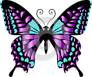 Beautiful bright purple  butterfly. Vector illustration isolated